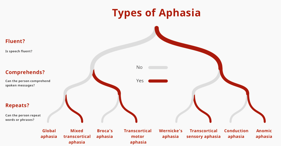 Aphasia: types, symptoms and causes